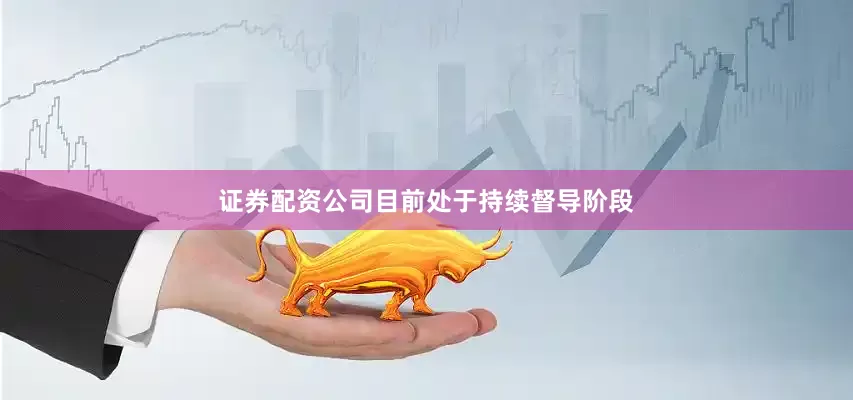 证券配资公司目前处于持续督导阶段
