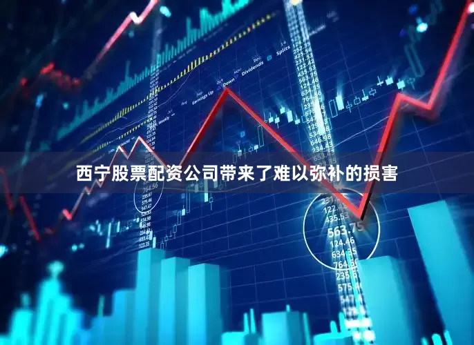 西宁股票配资公司带来了难以弥补的损害