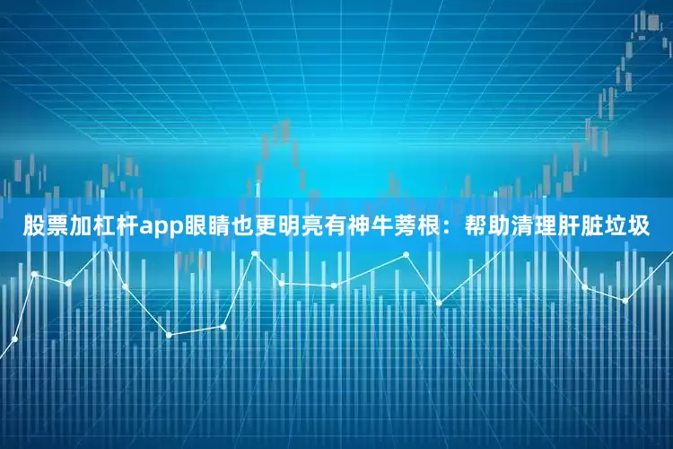 股票加杠杆app眼睛也更明亮有神牛蒡根：帮助清理肝脏垃圾