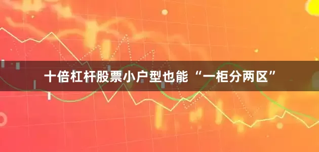 十倍杠杆股票小户型也能 “一柜分两区”