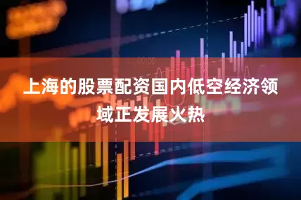 上海的股票配资　　国内低空经济领域正发展火热