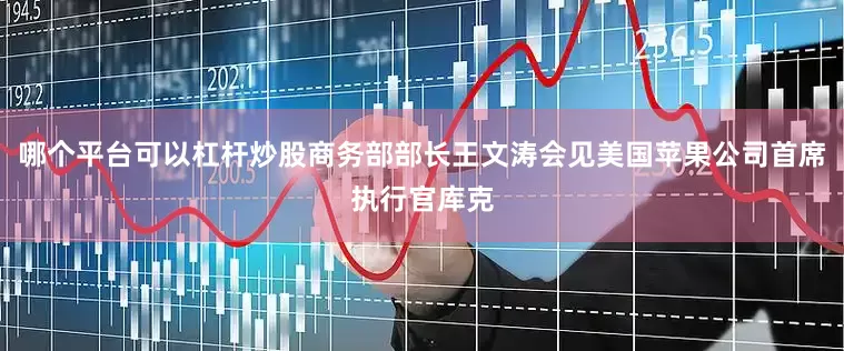 哪个平台可以杠杆炒股商务部部长王文涛会见美国苹果公司首席执行官库克